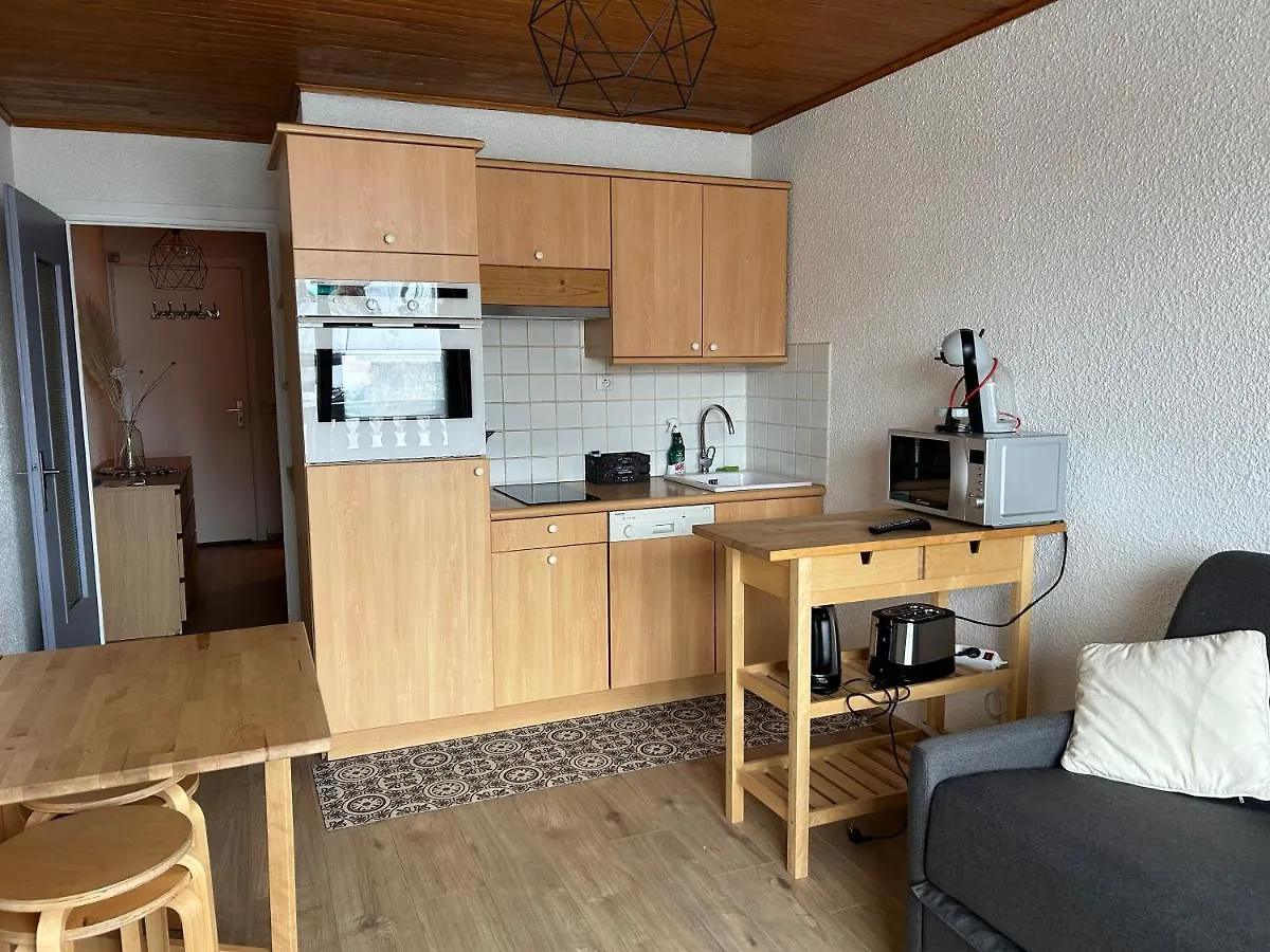 Charmant Appartement 4 Pax Au Pied Des Pistes Huez France